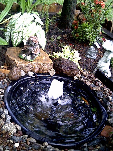 garden1.jpg