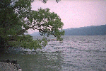 img0040.gif